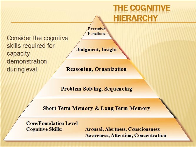 hierarchy of cognitive functions