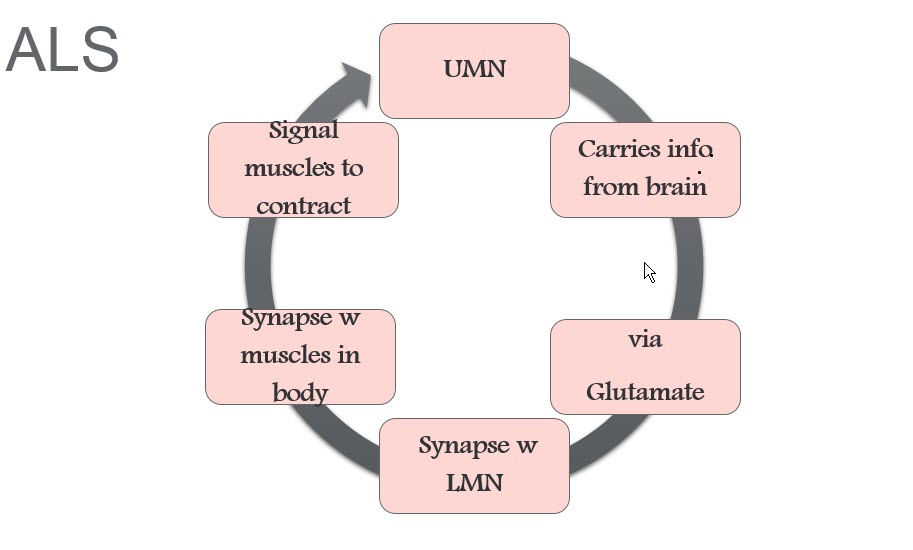 ALS figure 1