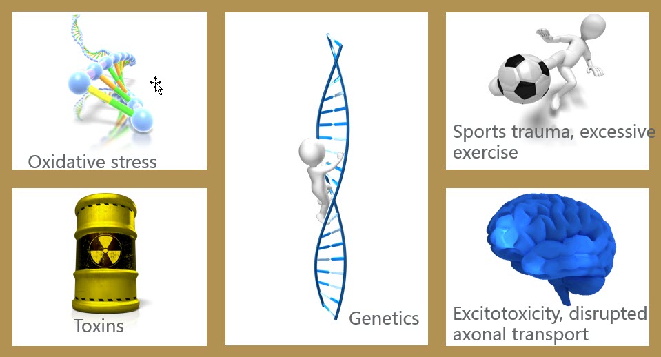 als figure 2