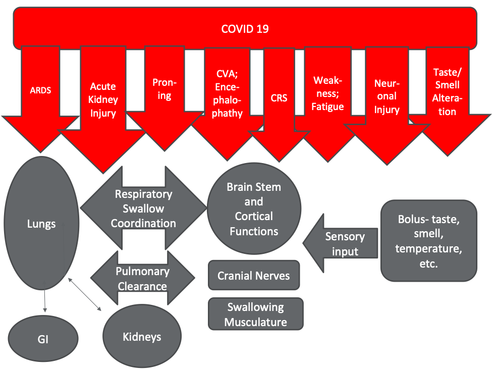 Impact of COVID on swallowing