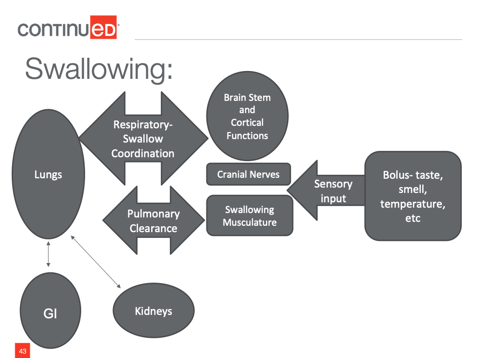 Swallowing is complicated