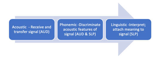Continuum of processing disorders